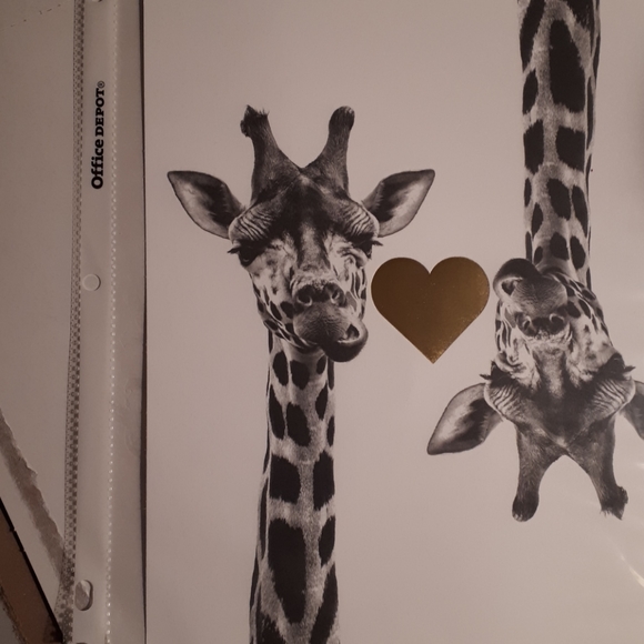 Giraffe Print w/🦒🦒REAL Gold Foil - NWT - Picture 3 of 5